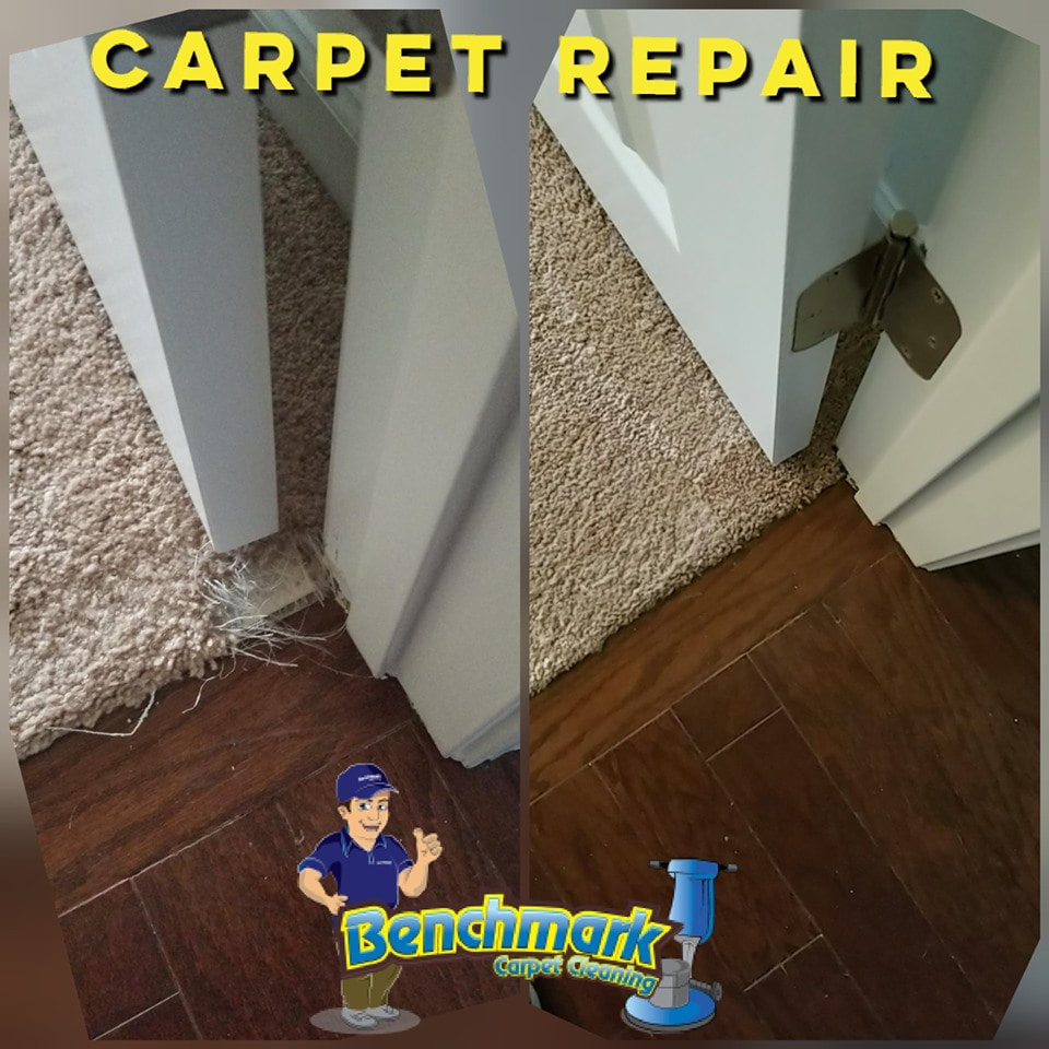 Can You Repair Parts of Carpet?. Yes, you can repair parts of a carpet…, by Master Carpet Repair Melbourne, Nov, 2023
